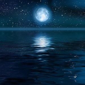 欧美人与拘杂交猛配
