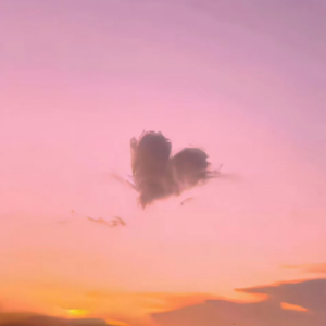 欧美人与拘杂交猛配
