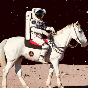 欧美人与拘杂交猛配
